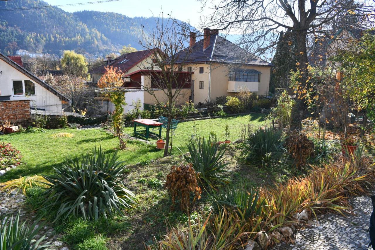 Magic House Brasov Apartman Kültér fotó